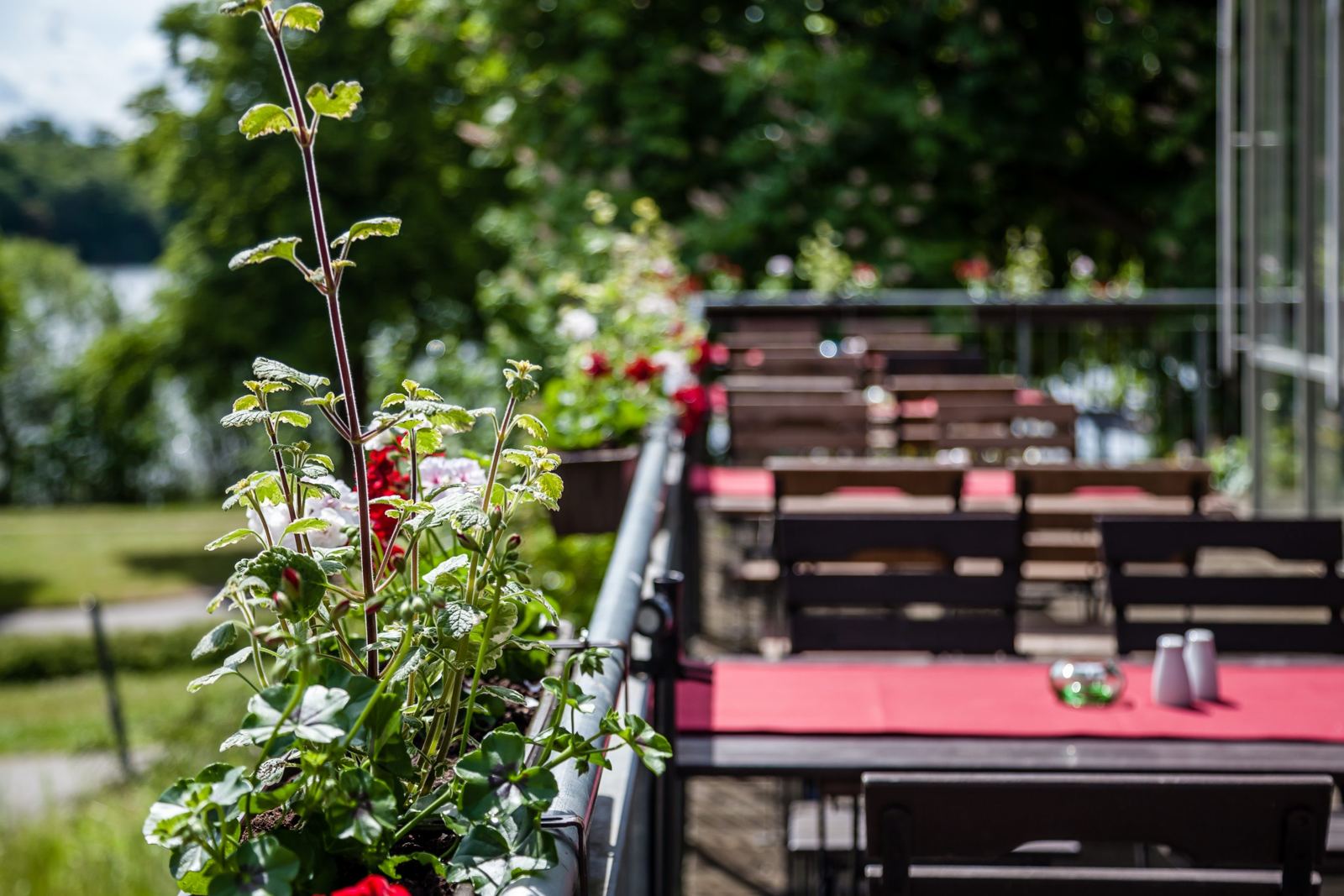 Terrasse mit gedeckten Tischen am See